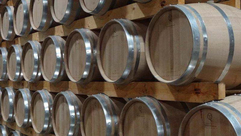 Découverte des chais de notre production de vins, Bordeaux, Caves de Rauzan