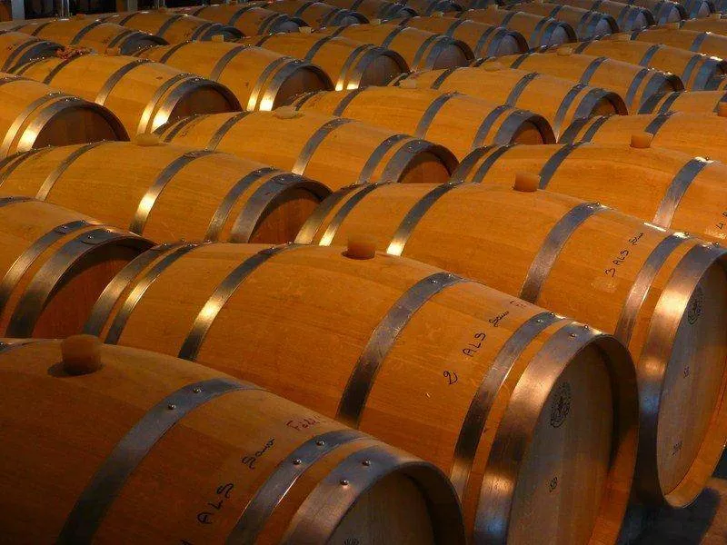 Découverte des chais de notre production de vins, Bordeaux, Caves de Rauzan