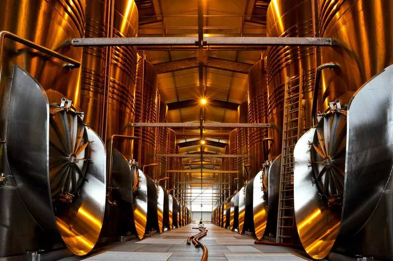 Découverte des chais de notre production de vins, Bordeaux, Caves de Rauzan