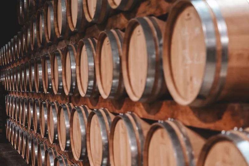 Découverte des chais de notre production de vins, Bordeaux, Caves de Rauzan