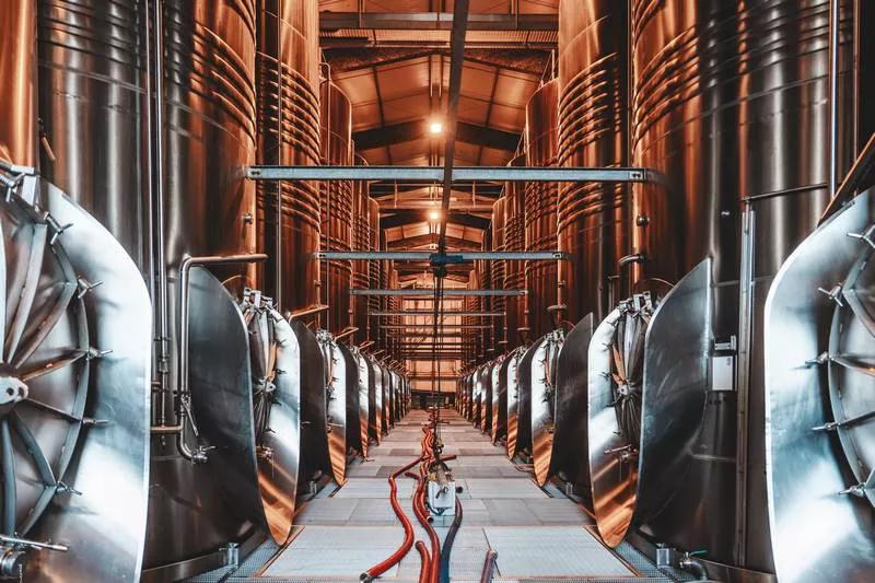 Découverte des chais de notre production de vins, Bordeaux, Caves de Rauzan