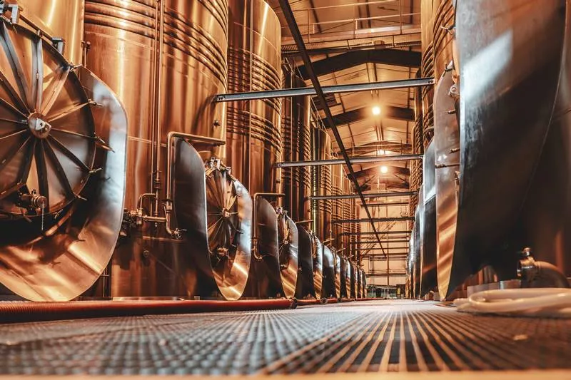 Découverte des chais de notre production de vins, Bordeaux, Caves de Rauzan
