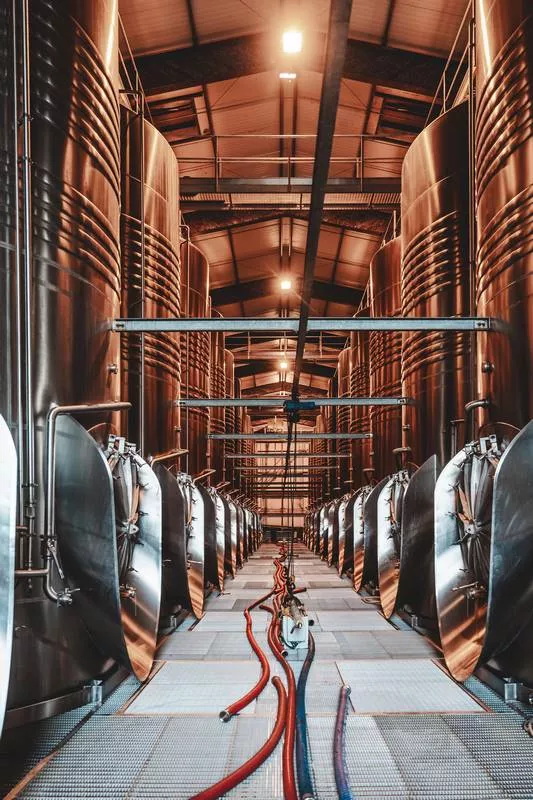 Découverte des chais de notre production de vins, Bordeaux, Caves de Rauzan