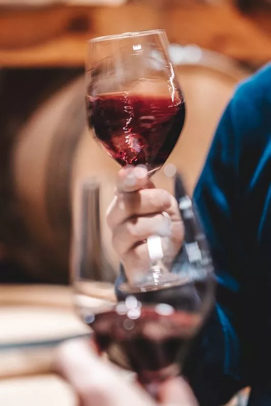 Dégustation de vins dans nos caves coopératives, Bordeaux, Caves de Rauzan