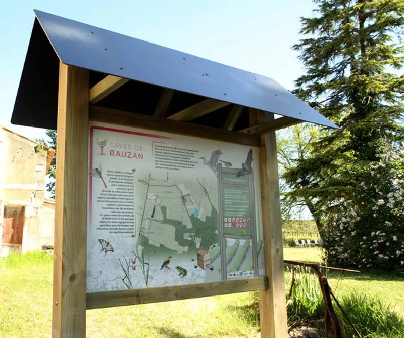 Parcours pédestre pour découvrir les vignes et la biodiversité bordelaise, Bordeaux, Caves de Rauzan