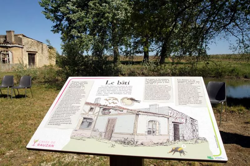 Parcours pédestre pour découvrir les vignes et la biodiversité bordelaise, Bordeaux, Caves de Rauzan