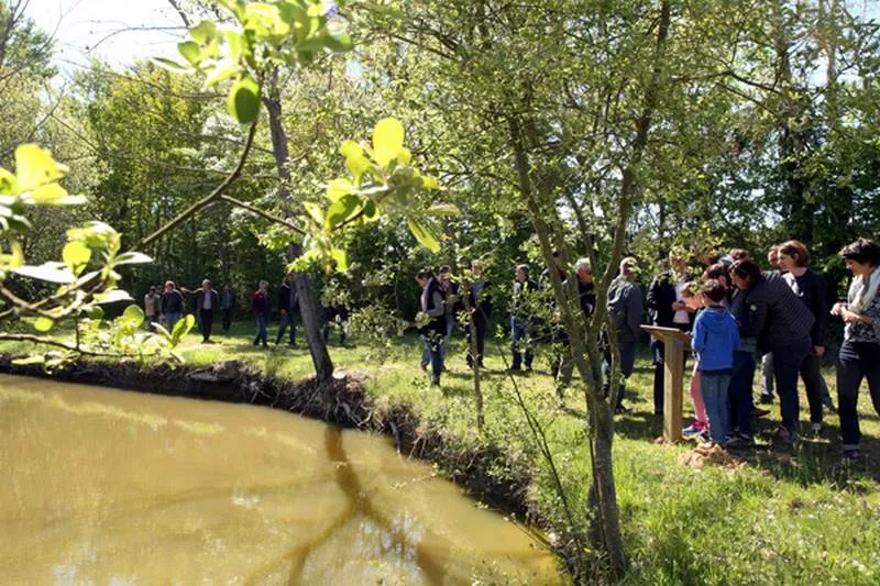 Parcours pédestre pour découvrir les vignes et la biodiversité bordelaise, Bordeaux, Caves de Rauzan