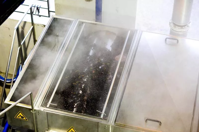 Photos du processus de la transformation du raisin en vin, Bordeaux, Caves de Rauzan