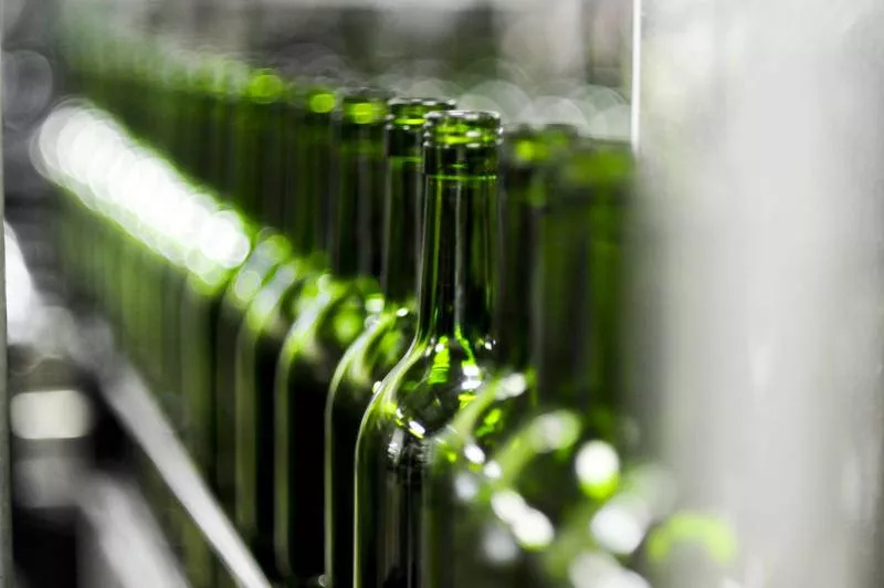 Photos du processus de la transformation du raisin en vin, Bordeaux, Caves de Rauzan