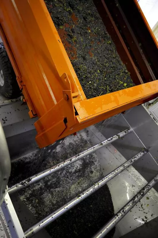 Photos du processus de la transformation du raisin en vin, Bordeaux, Caves de Rauzan