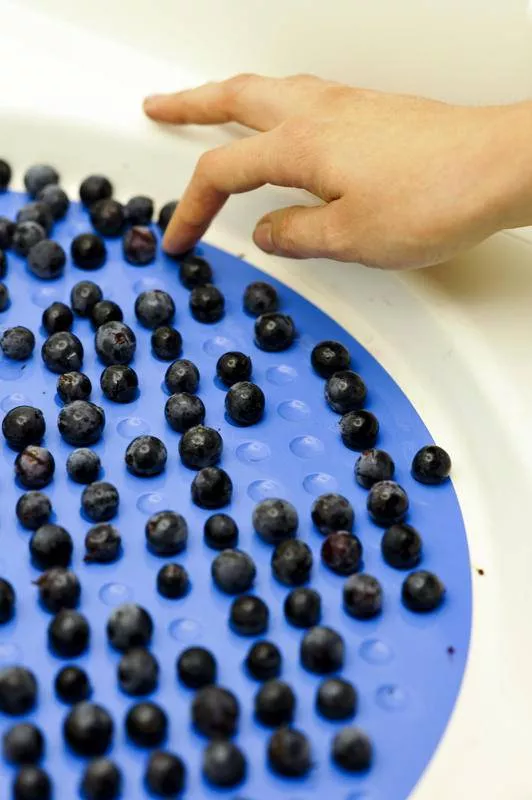 Photos du processus de la transformation du raisin en vin, Bordeaux, Caves de Rauzan