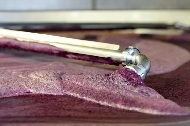 Photos du processus de la transformation du raisin en vin, Bordeaux, Caves de Rauzan