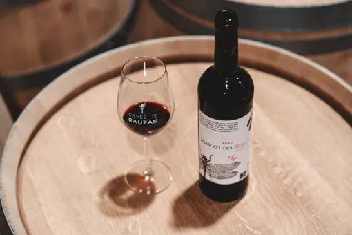 Visite vignoble et cave en famille à Bordeaux , Bordeaux, Caves de Rauzan