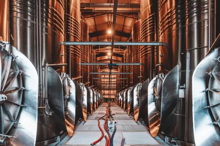 Visite d'un chai de vin par un vigneron en famille avec des enfants à Bordeaux, Bordeaux, Caves de Rauzan