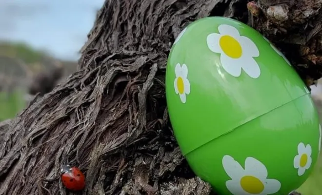 🐰 Pâques 2026 : grande chasse aux œufs dans les vignes des Caves de Rauzan !, Bordeaux, Caves de Rauzan